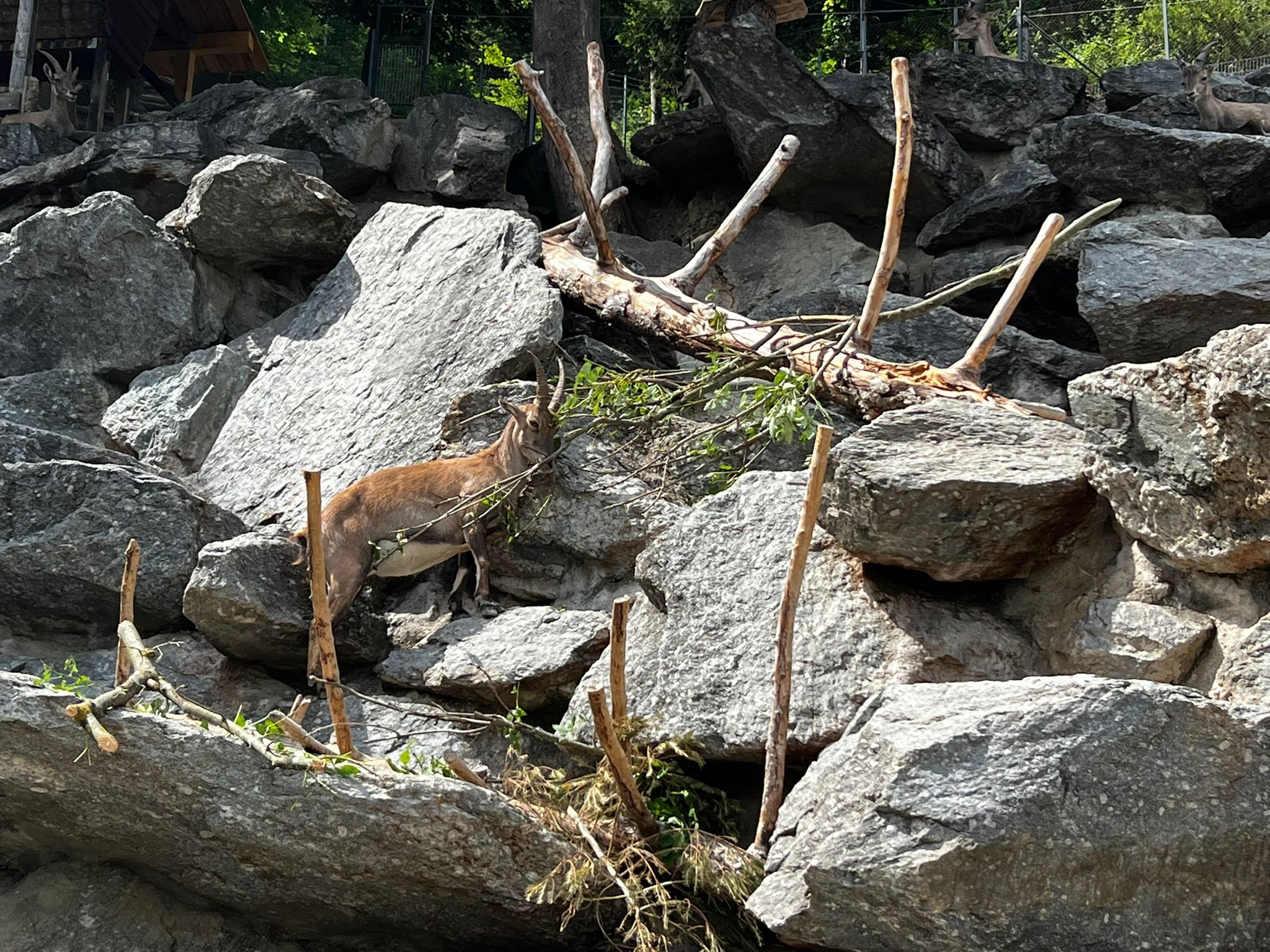 Innsbruck