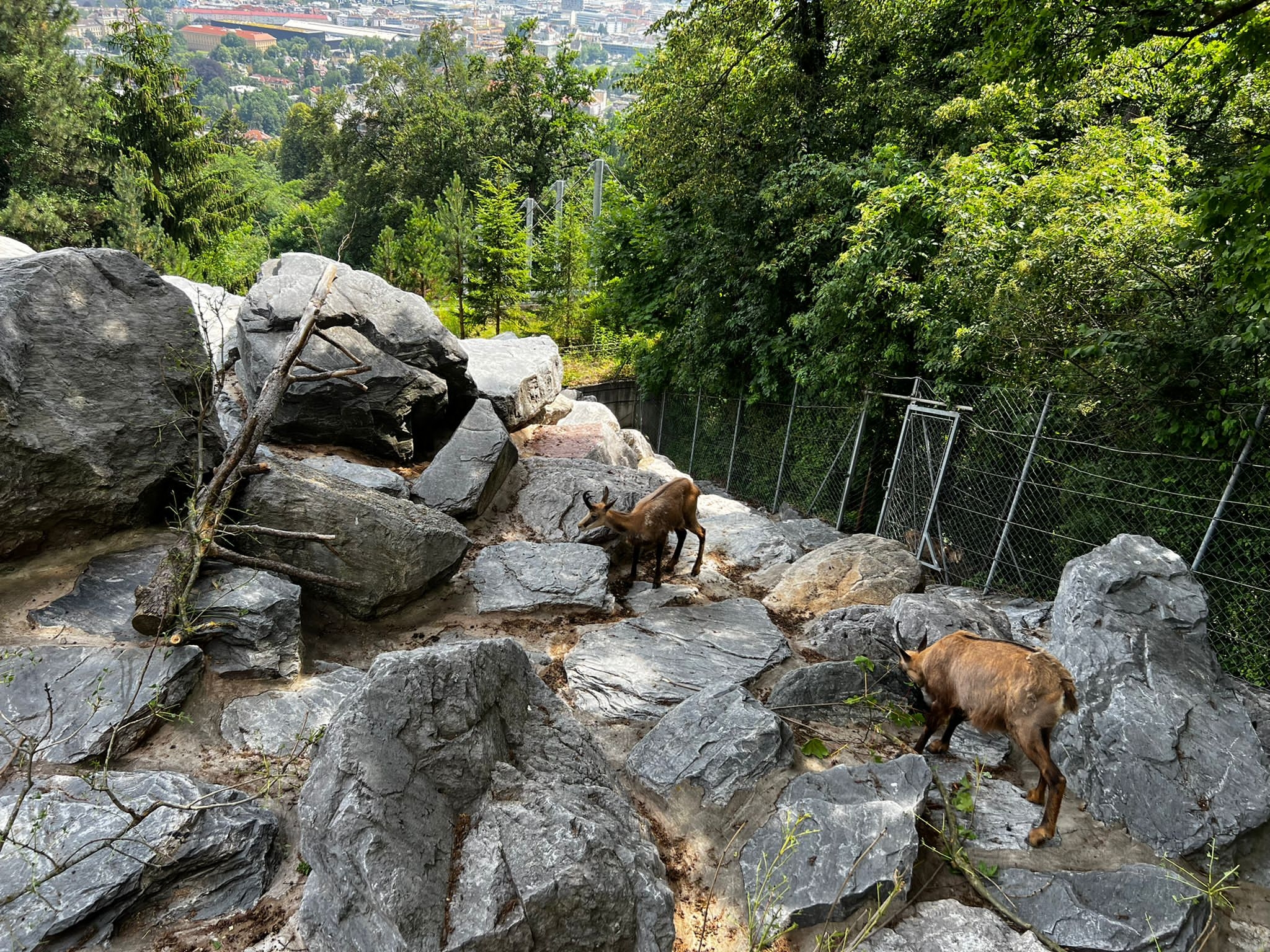 Innsbruck