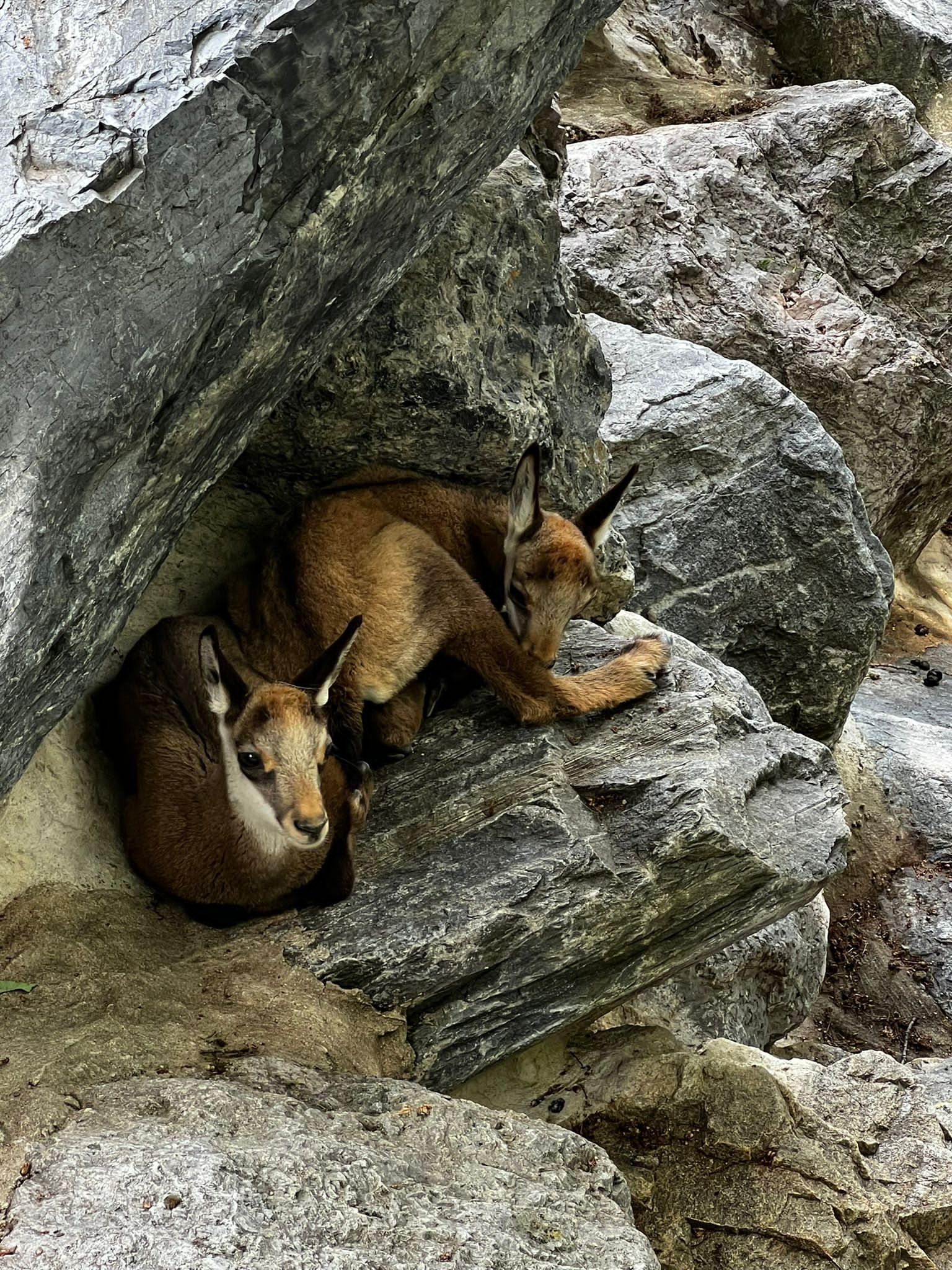Innsbruck