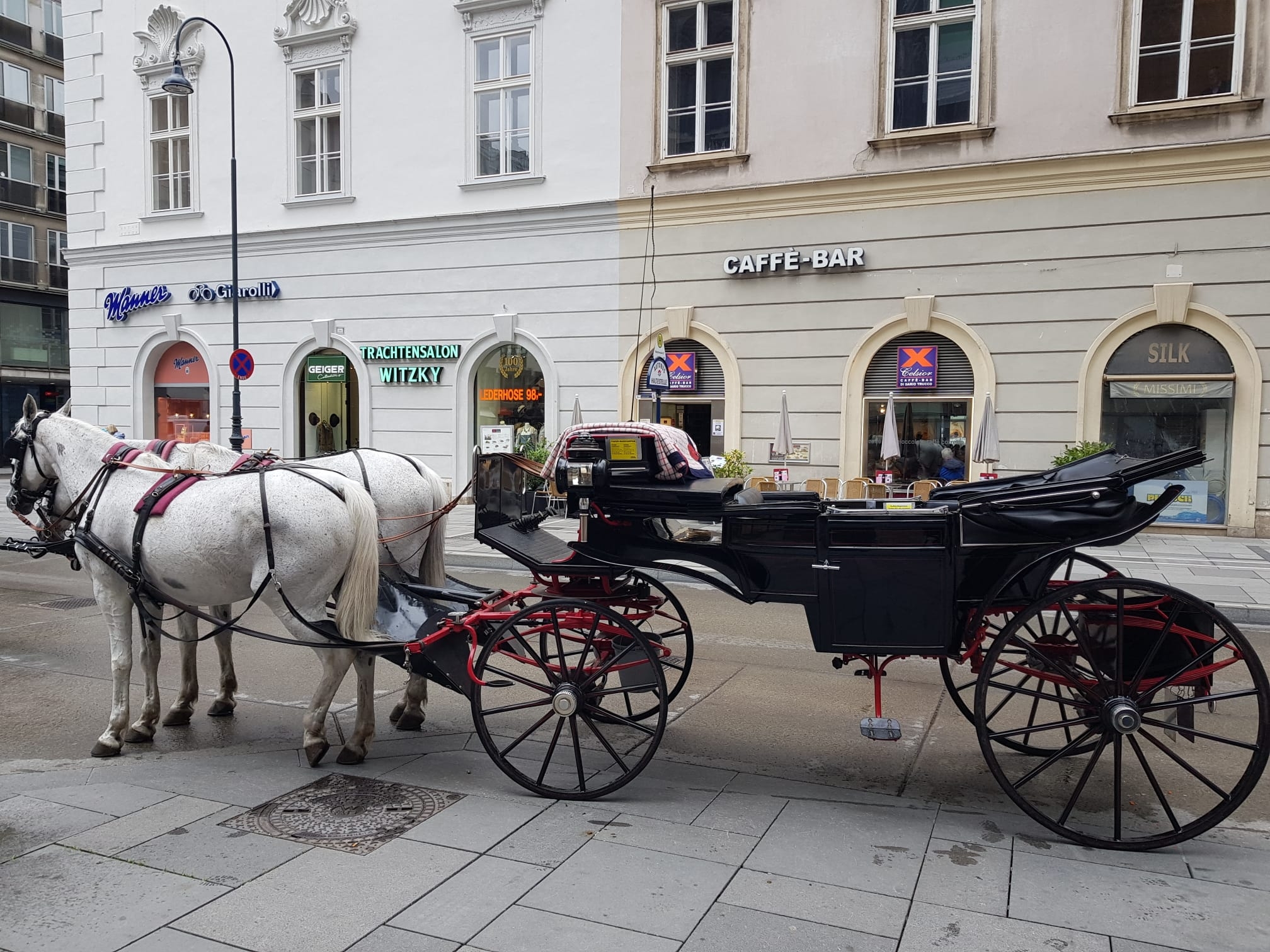 Wien 2024 05.05.2024