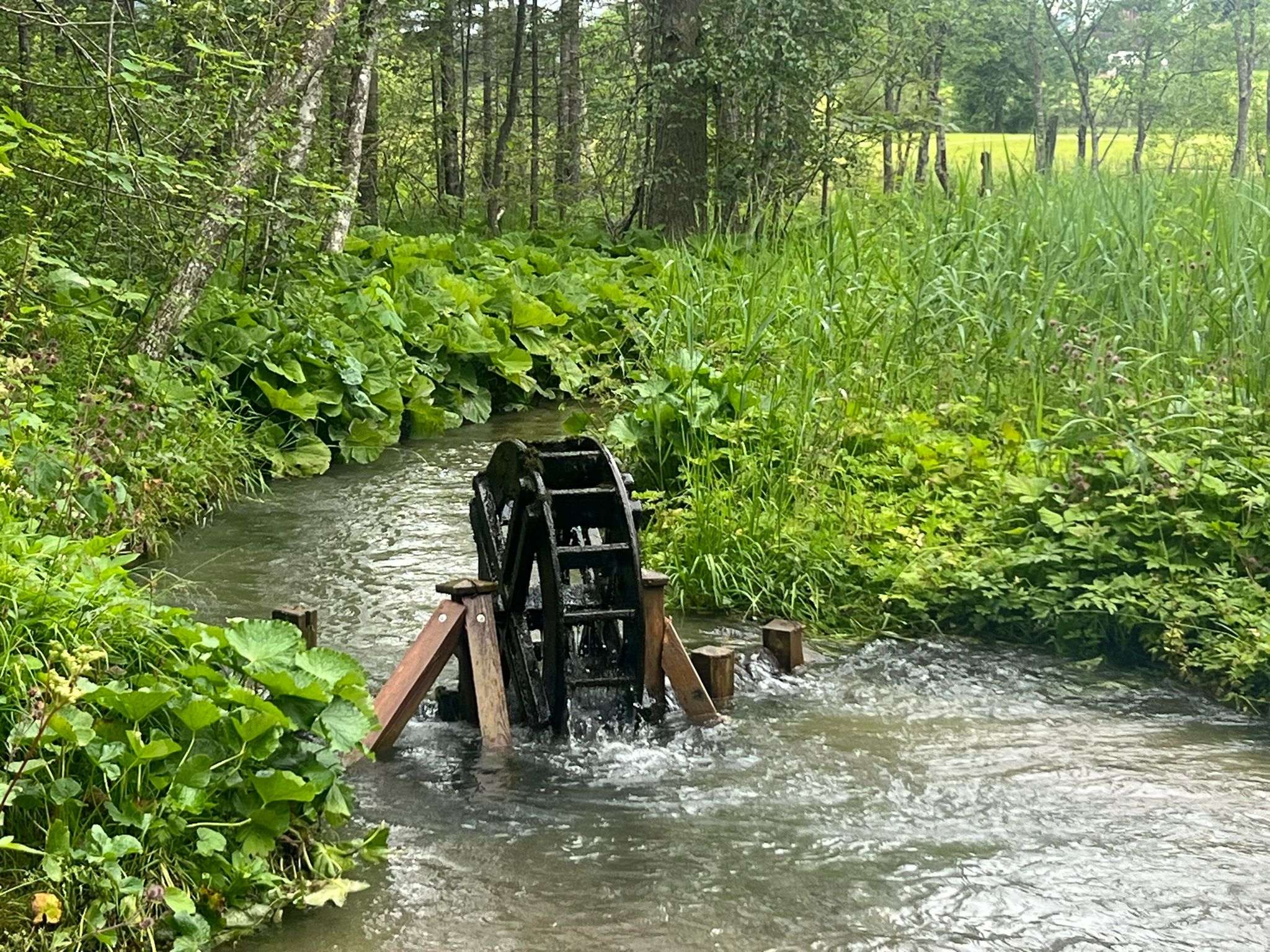 Urlaub in Schladming und Salzburg