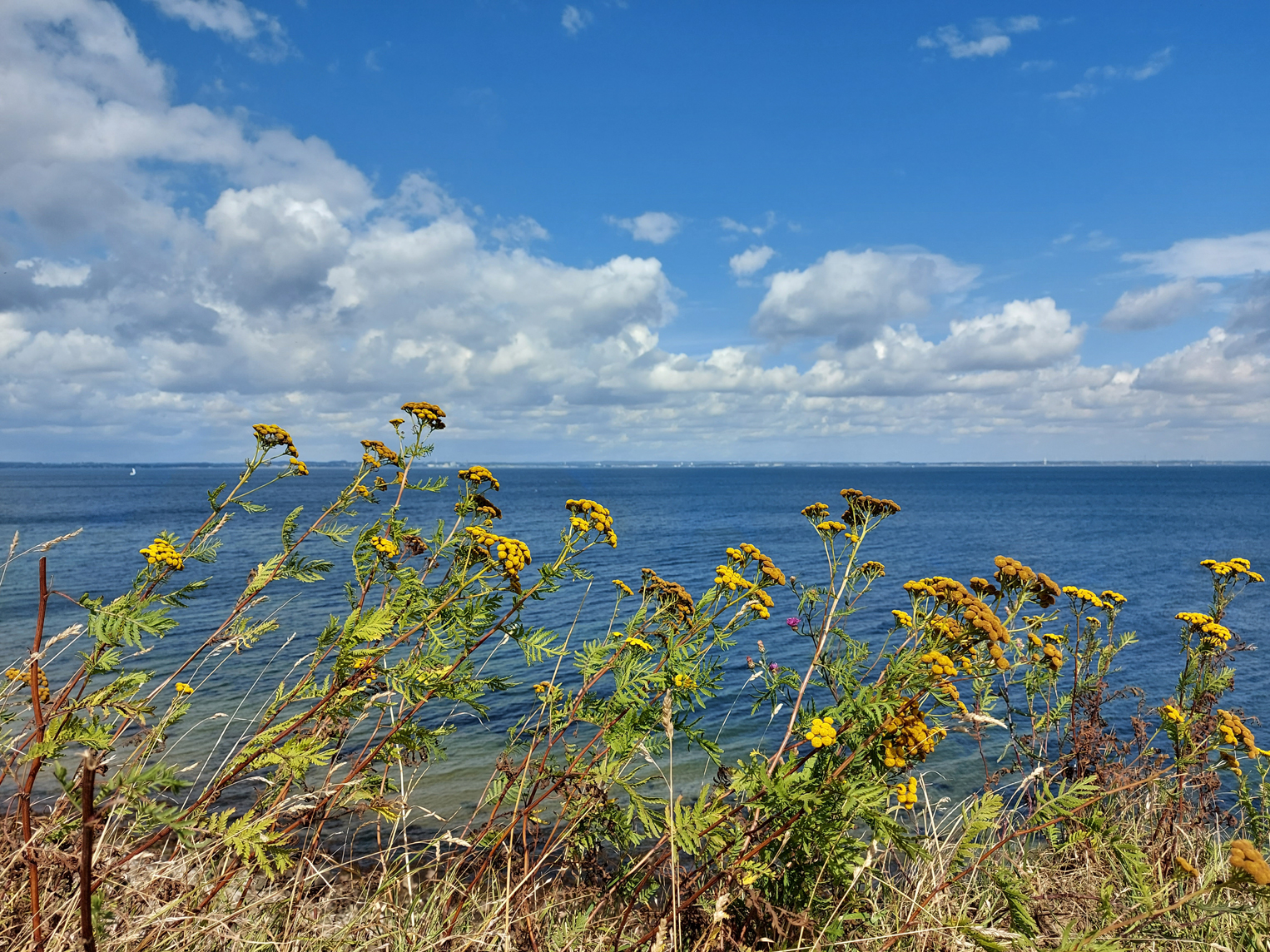 Ostsee Urlaub Part 1 05.09.2020