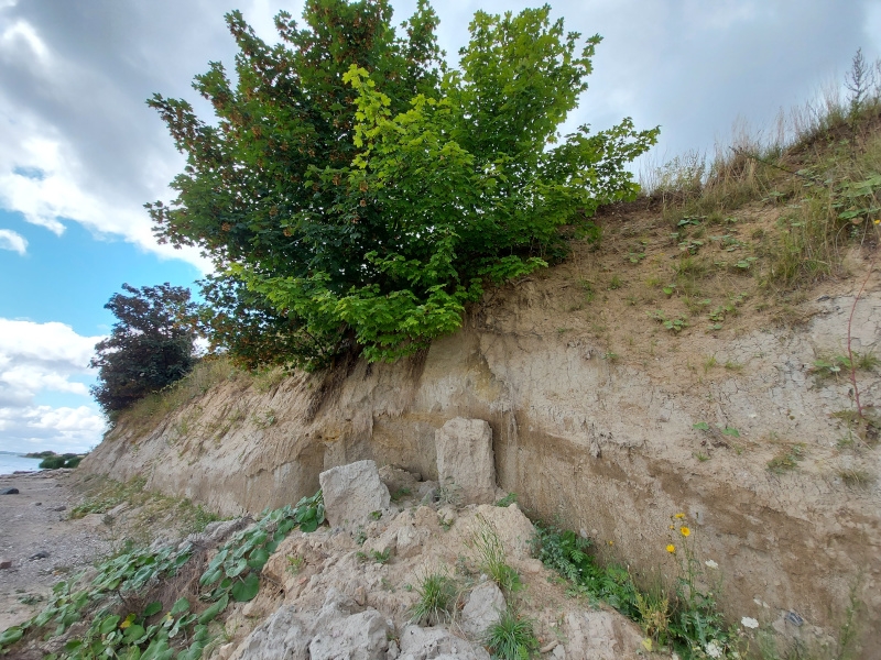 Scharbeutz 31.08.2021
