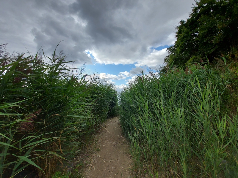 Scharbeutz 31.08.2021