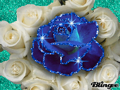 a7309af916708f489766cc62cb66fbbf