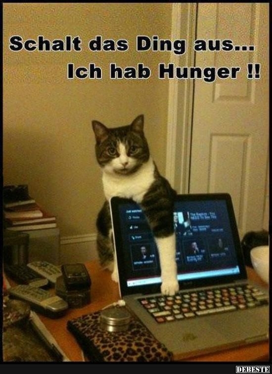 0a10720ec1d5b07763957fcd30632f7e