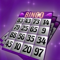 Bingo-Banner2.jpg