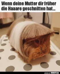 Memes zum Lachen 13.10.2025