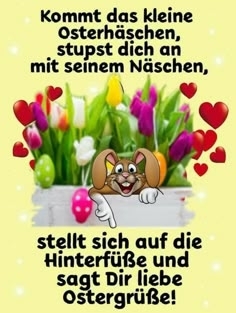 cfc73894065ad840fe9aacb4694898e4